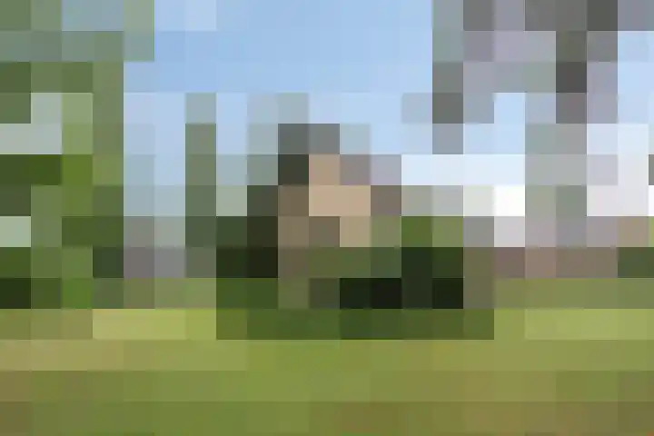 De Blaak 12 Eefde thumbnail 32