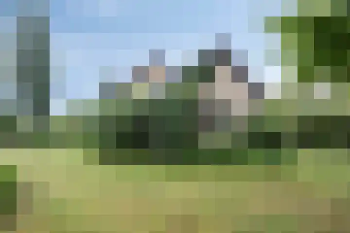De Blaak 12 Eefde thumbnail 33
