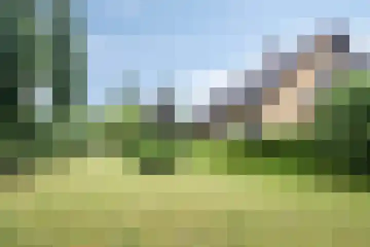 De Blaak 12 Eefde thumbnail 34