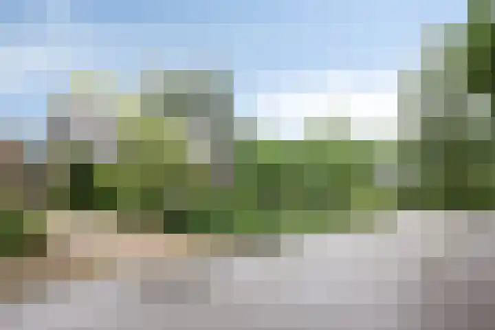 De Blaak 12 Eefde thumbnail 35
