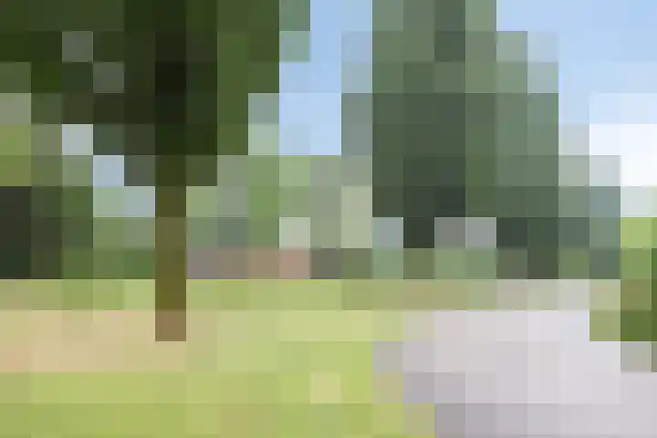 De Blaak 12 Eefde thumbnail 36