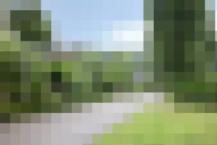 De Blaak 12 Eefde thumbnail 37