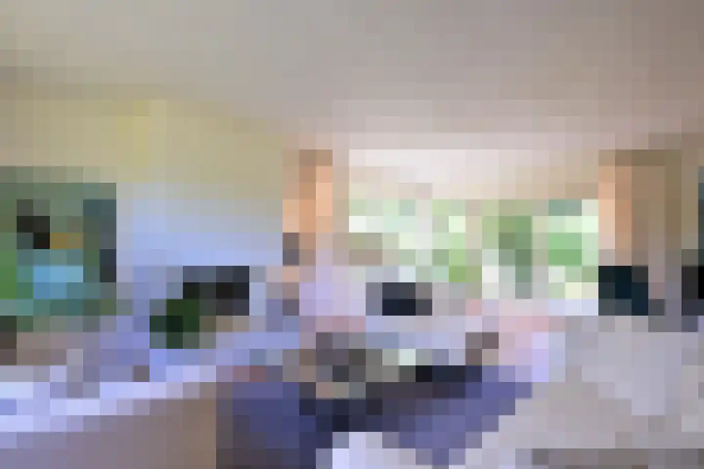 De Blaak 24 Eefde thumbnail 14