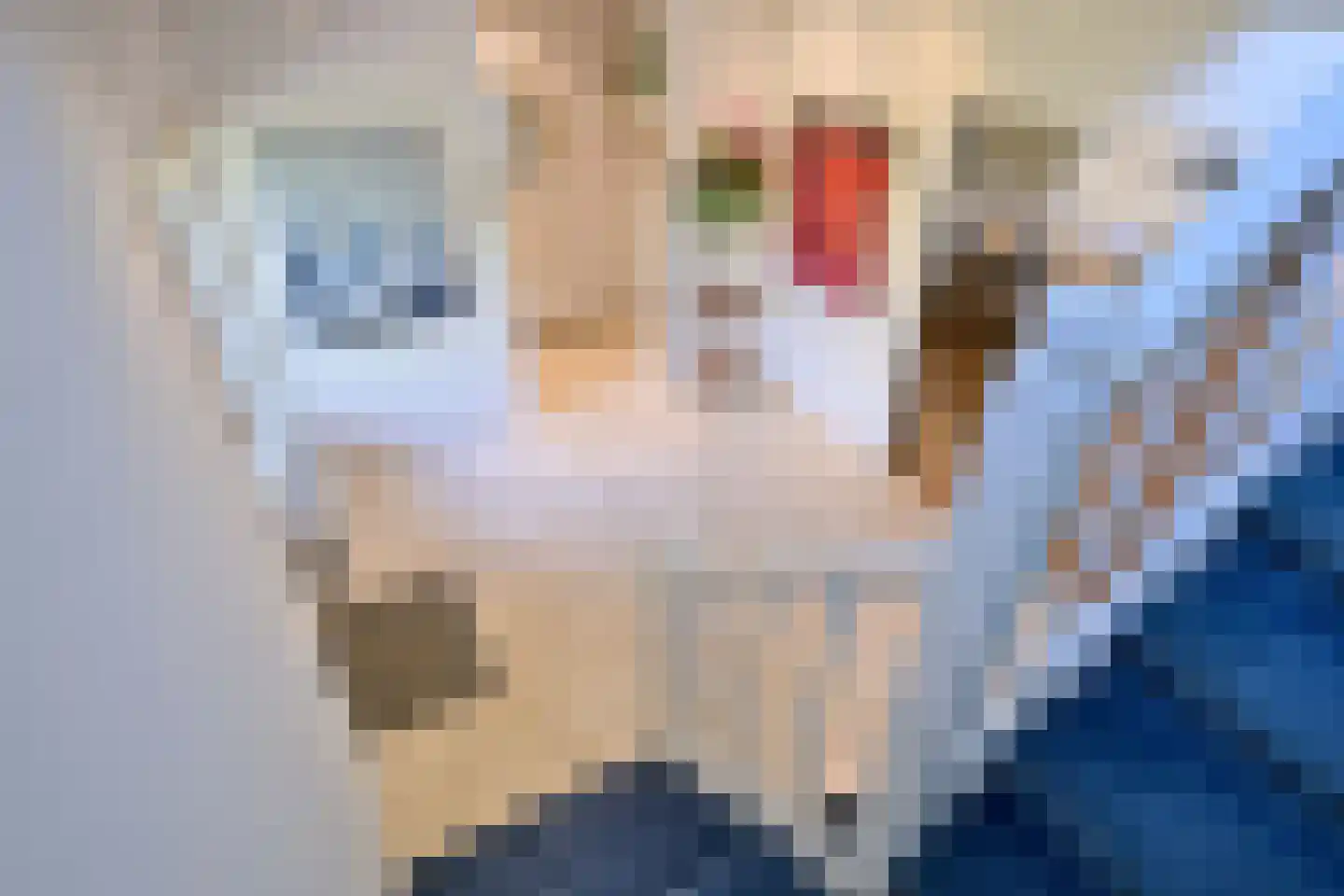 De Blaak 24 Eefde thumbnail 24