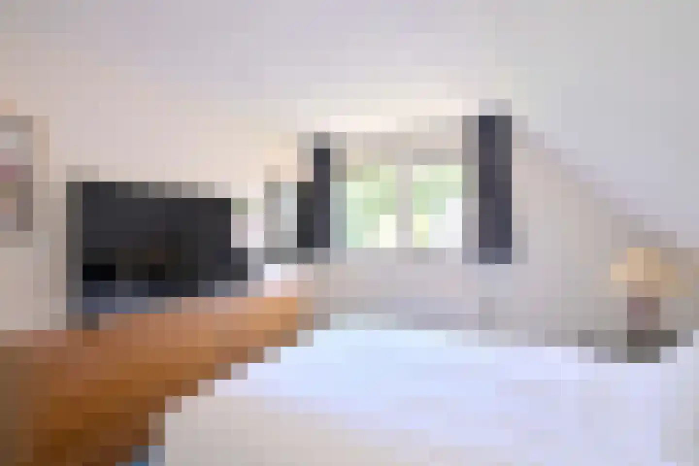 De Blaak 24 Eefde thumbnail 27