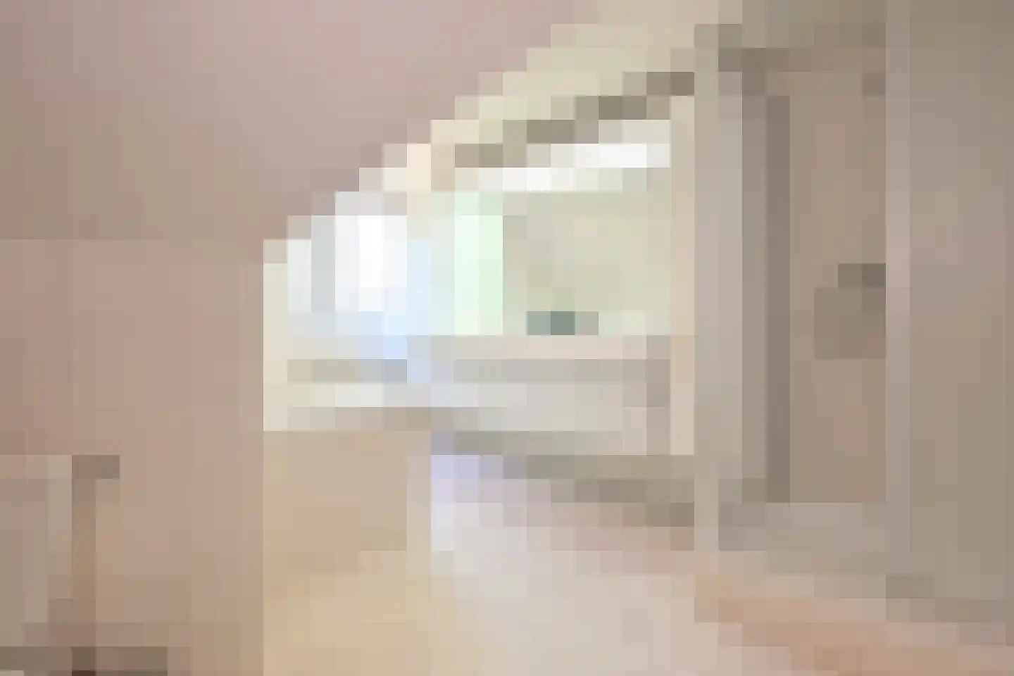 De Blaak 24 Eefde thumbnail 32