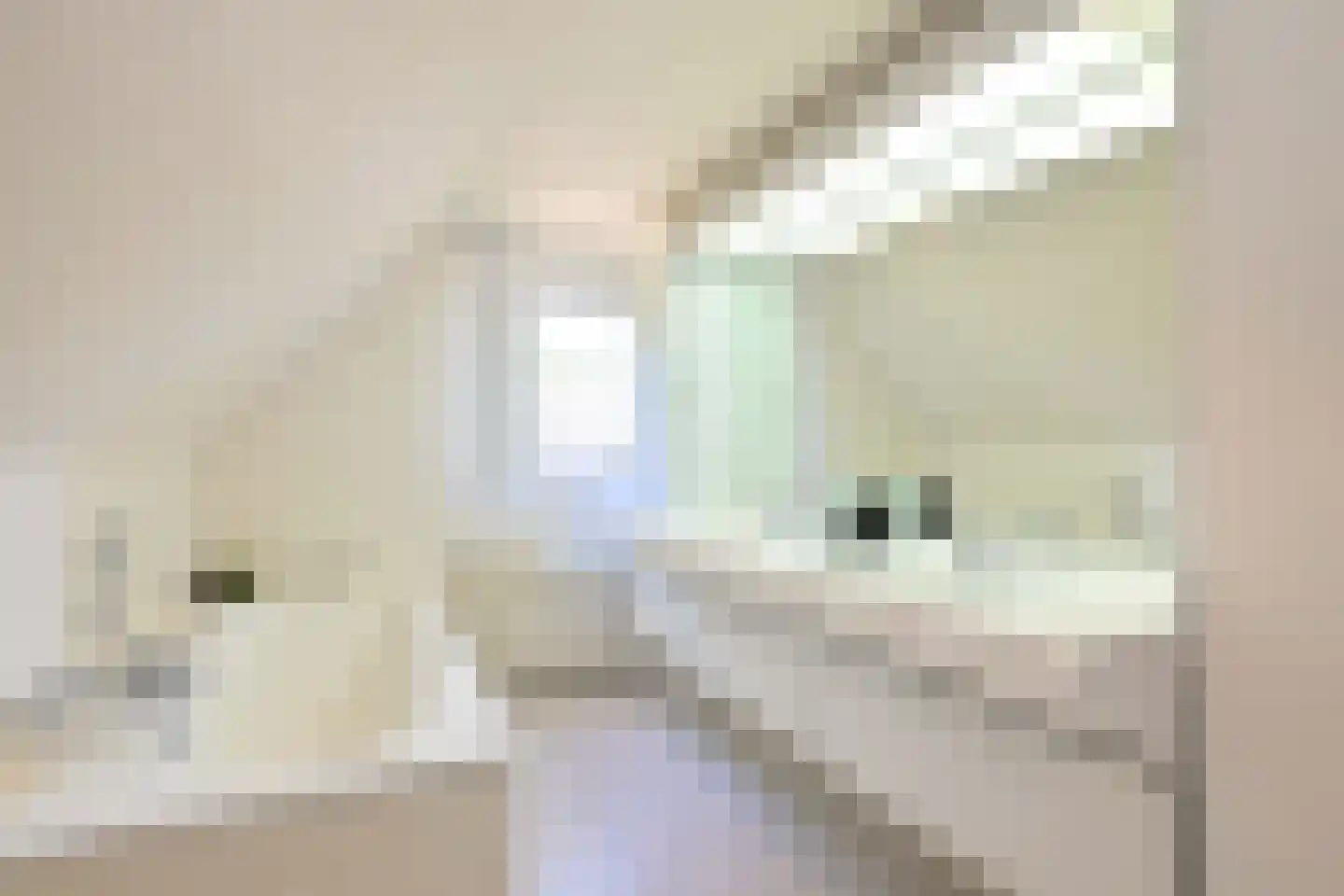 De Blaak 24 Eefde thumbnail 33