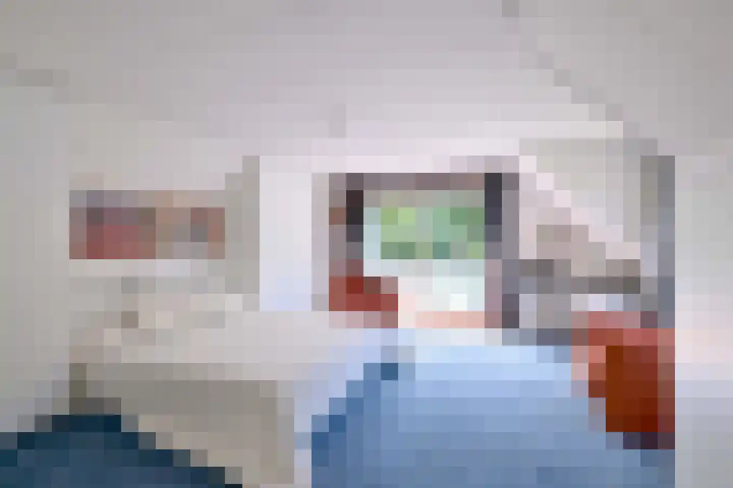 De Blaak 24 Eefde thumbnail 34