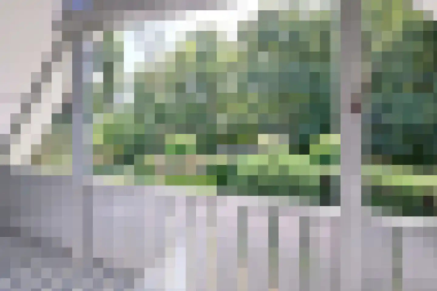 De Blaak 24 Eefde thumbnail 36