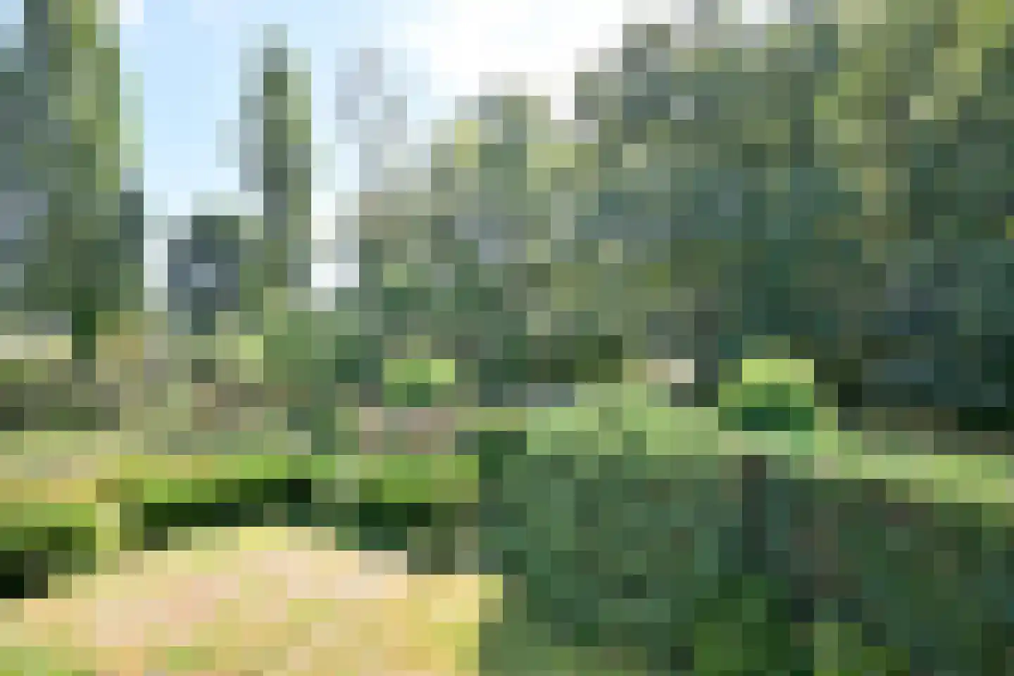 De Blaak 24 Eefde thumbnail 38