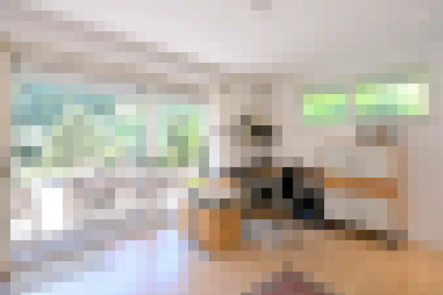 De Blaak 24 Eefde thumbnail 41