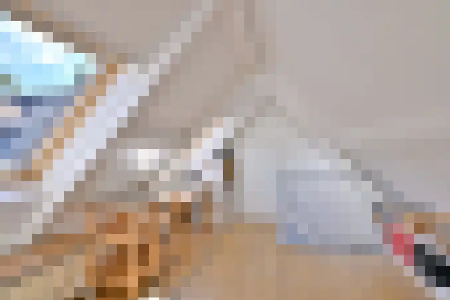 De Blaak 24 Eefde thumbnail 42