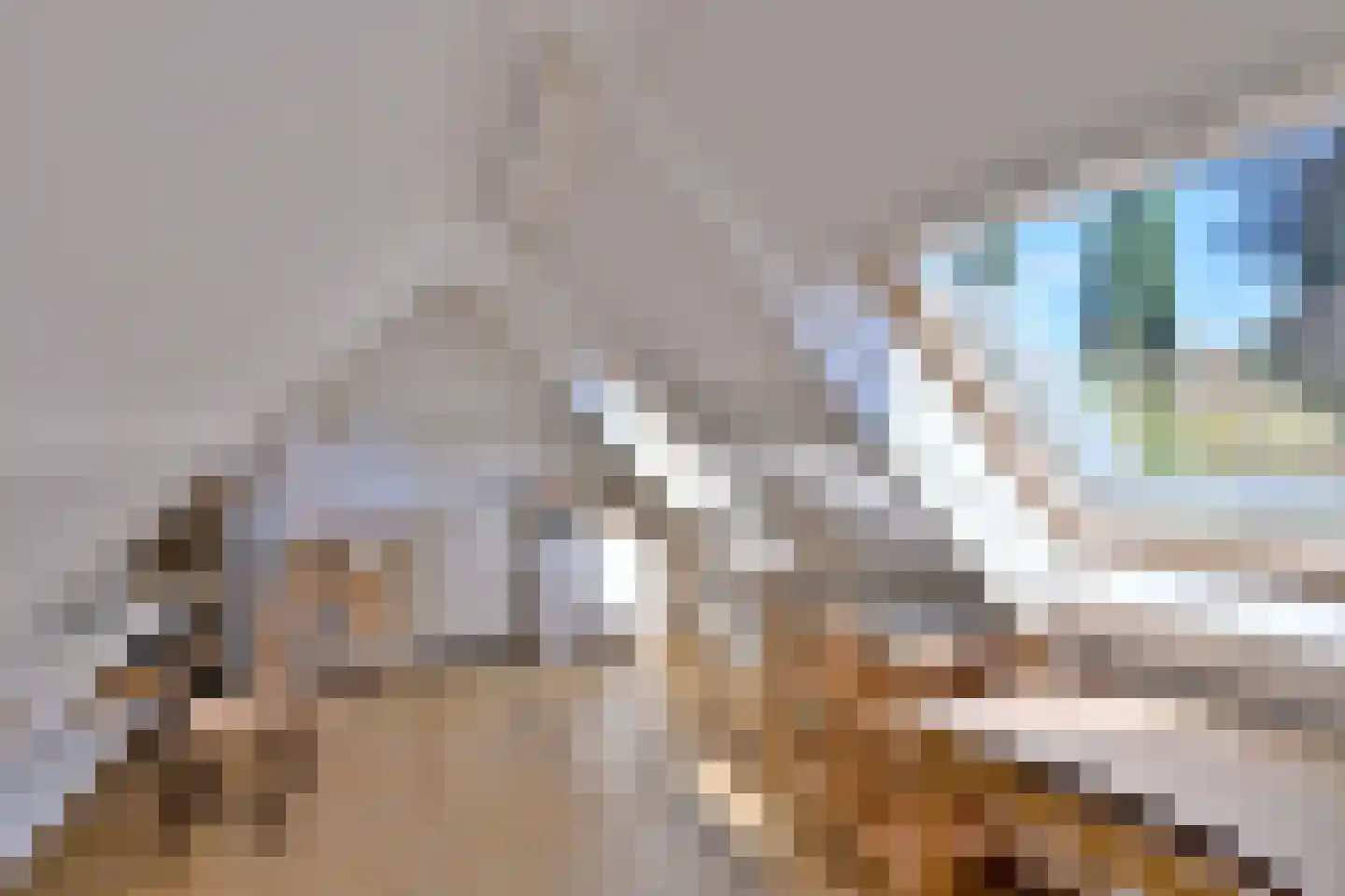 De Blaak 24 Eefde thumbnail 43