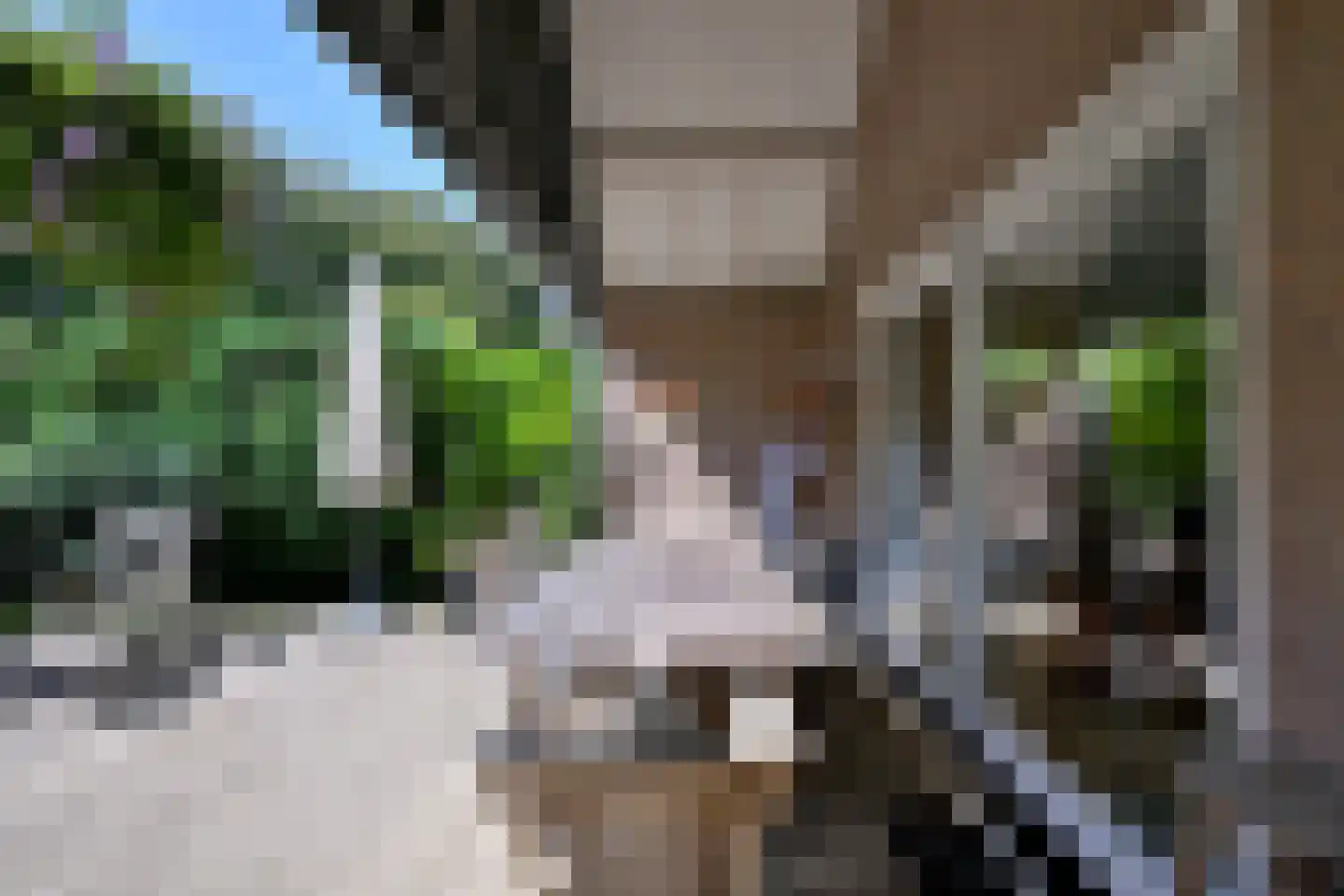De Blaak 24 Eefde thumbnail 45