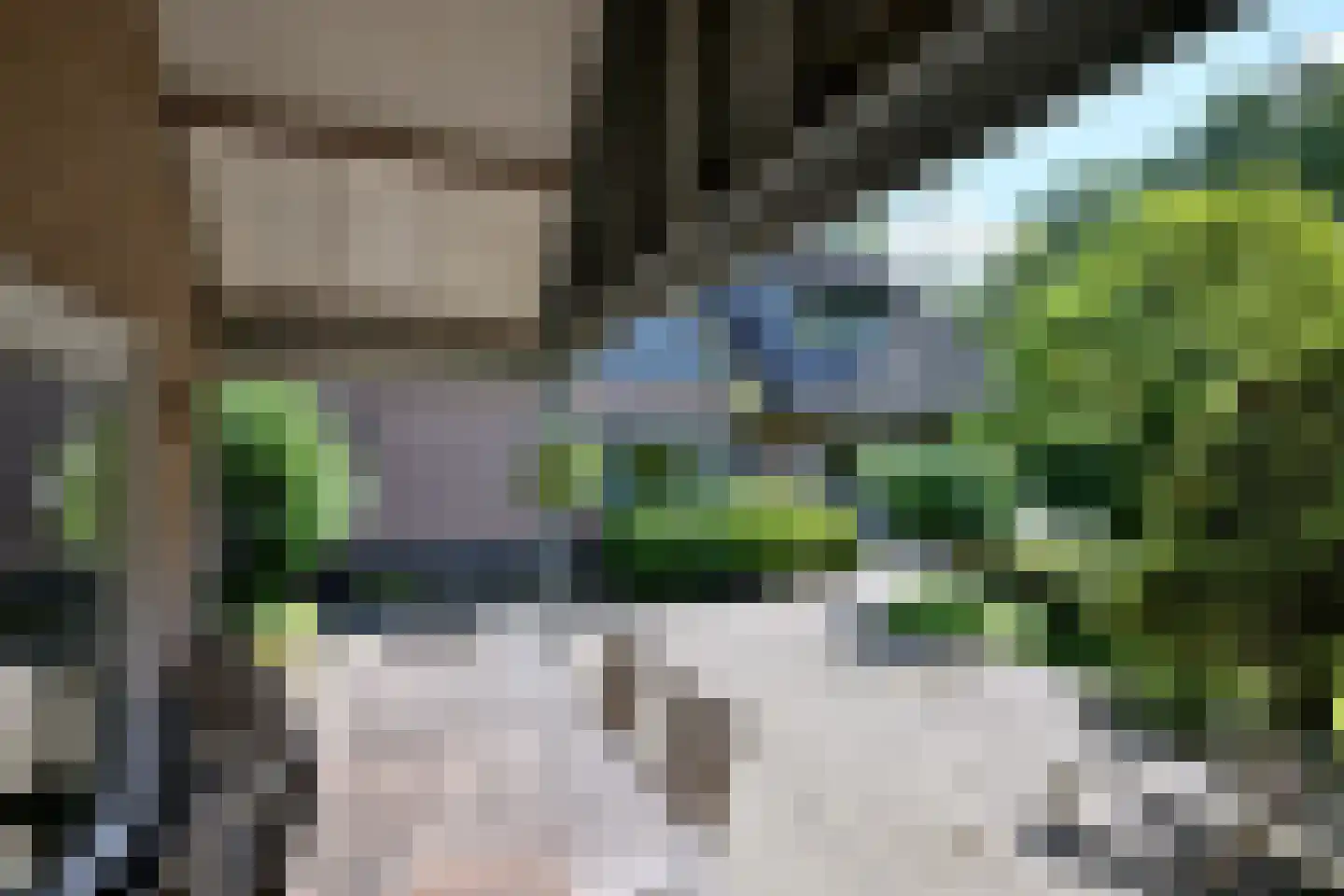 De Blaak 24 Eefde thumbnail 46