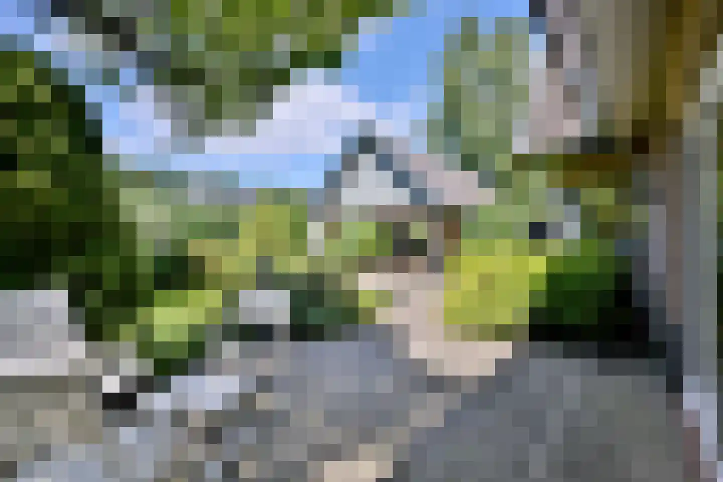 De Blaak 24 Eefde thumbnail 48