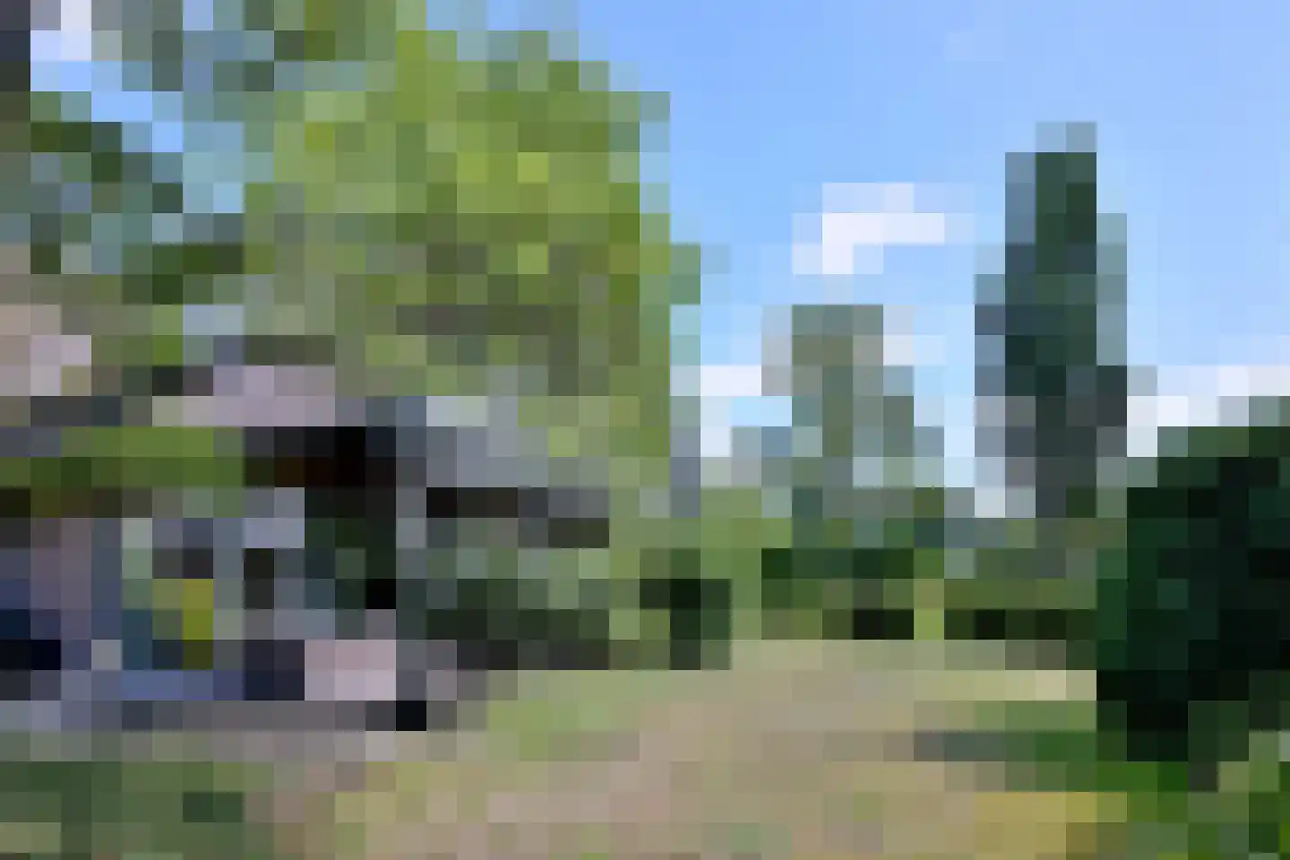 De Blaak 24 Eefde thumbnail 49