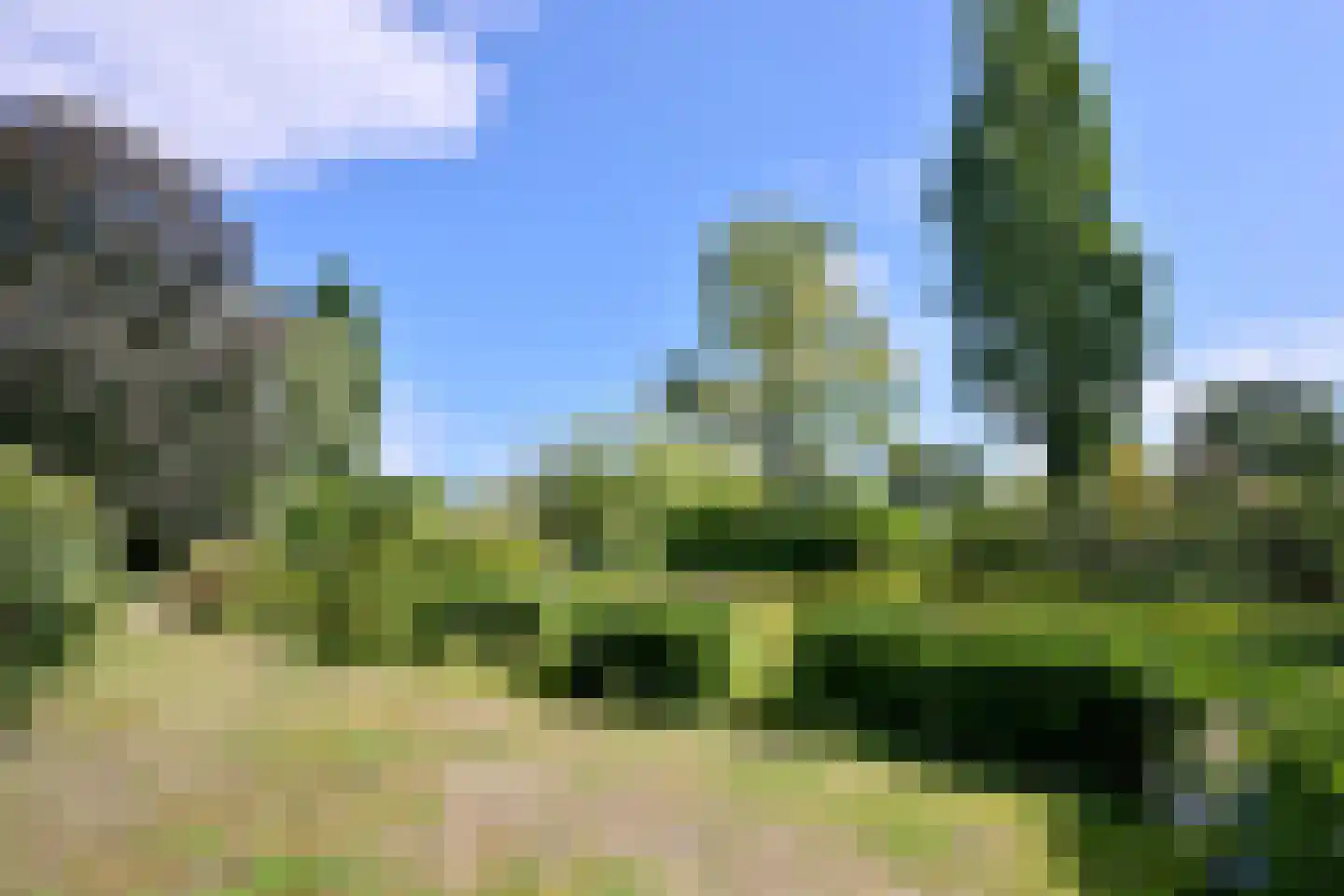 De Blaak 24 Eefde thumbnail 50