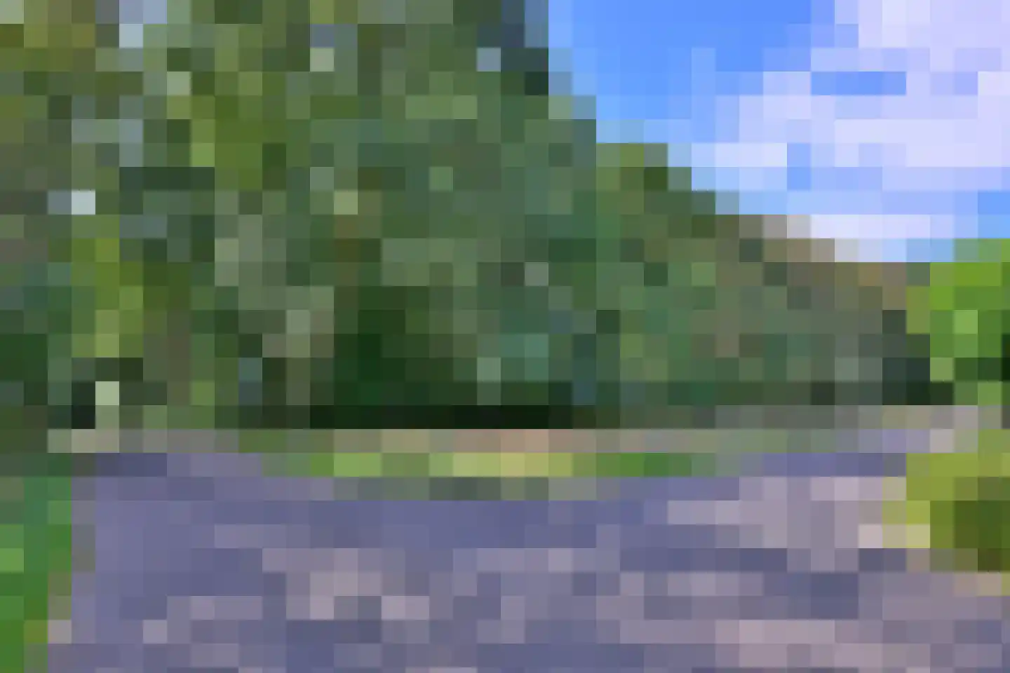 De Blaak 24 Eefde thumbnail 53