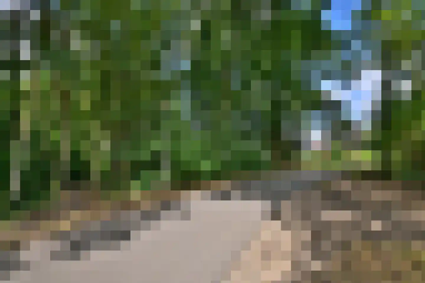 De Blaak 24 Eefde thumbnail 55