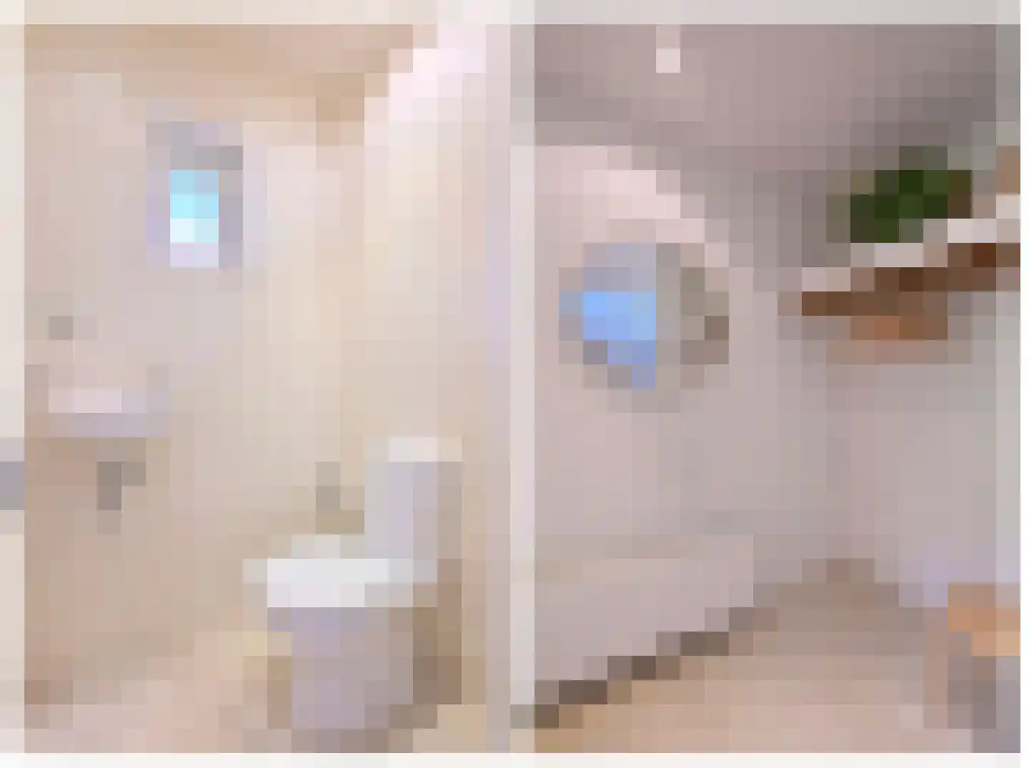 De Blaak 24 Eefde thumbnail 9