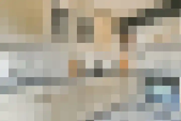 de Blankvoorn 21 Bergschenhoek thumbnail 10