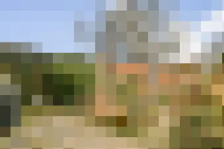 de Blankvoorn 21 Bergschenhoek thumbnail 12
