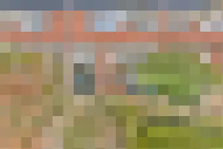 de Blankvoorn 21 Bergschenhoek thumbnail 13