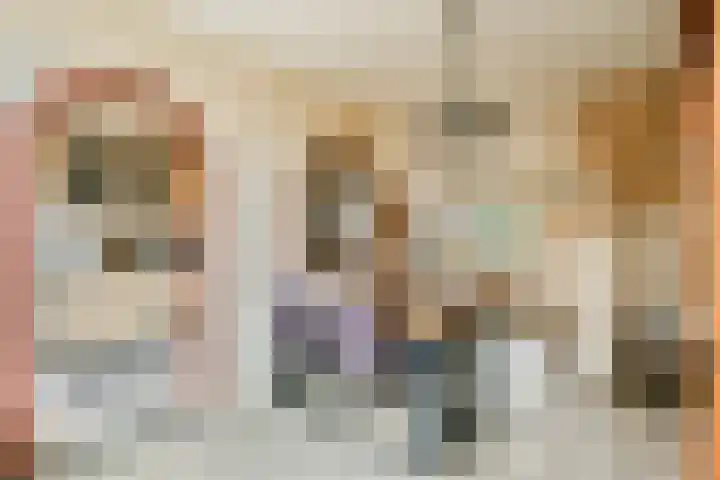 de Blankvoorn 21 Bergschenhoek thumbnail 14