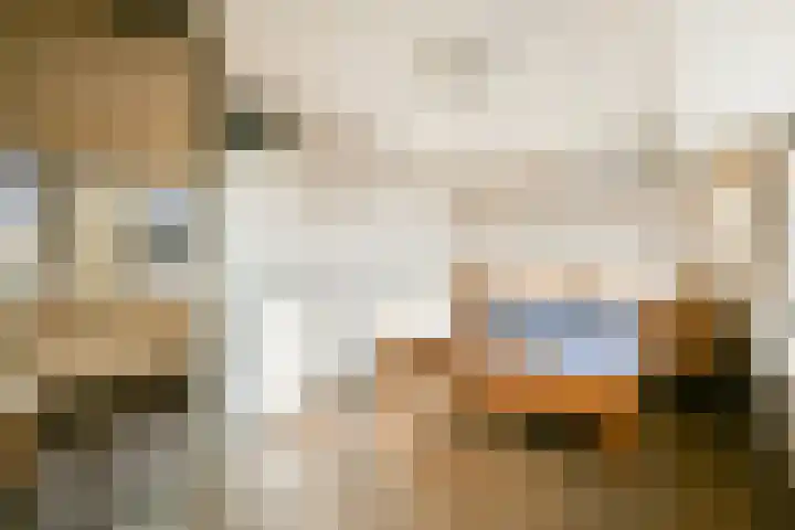 de Blankvoorn 21 Bergschenhoek thumbnail 16