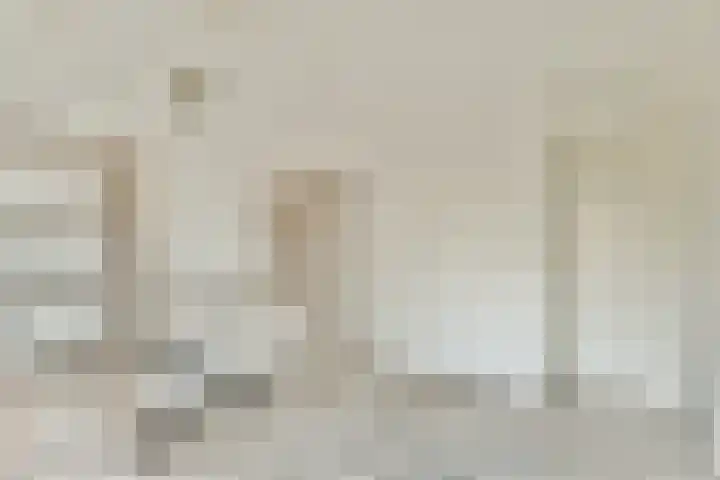 de Blankvoorn 21 Bergschenhoek thumbnail 20