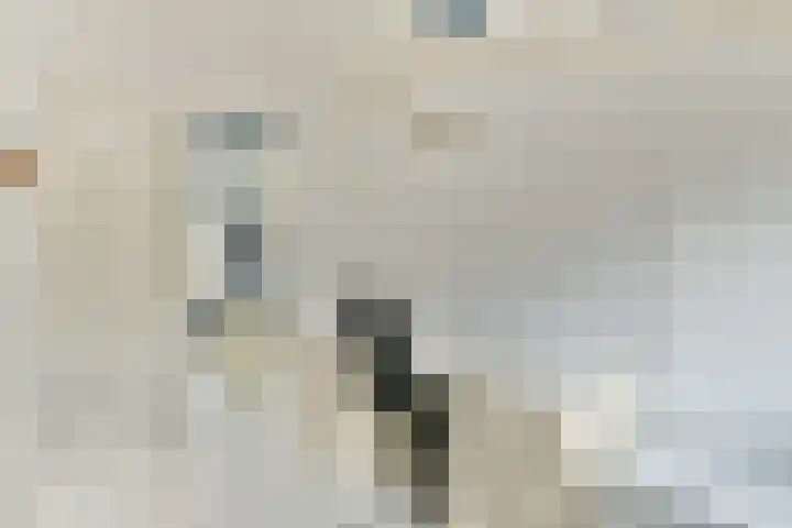 de Blankvoorn 21 Bergschenhoek thumbnail 22