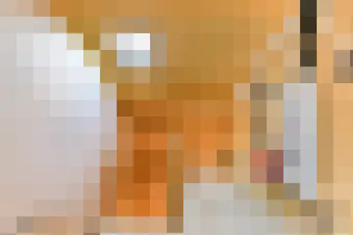de Blankvoorn 21 Bergschenhoek thumbnail 23