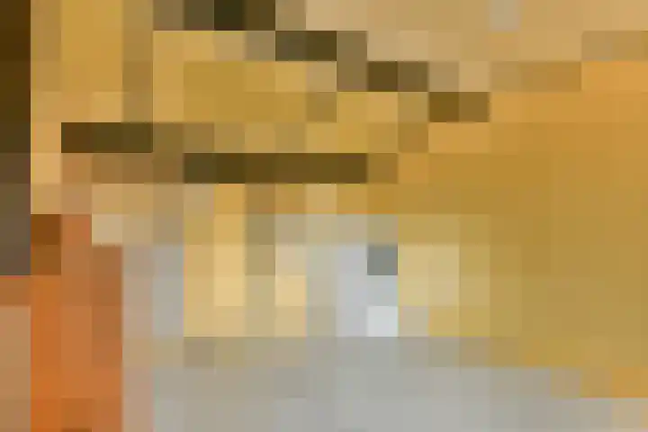 de Blankvoorn 21 Bergschenhoek thumbnail 24
