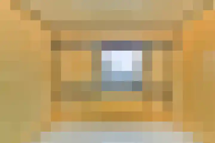 de Blankvoorn 21 Bergschenhoek thumbnail 25