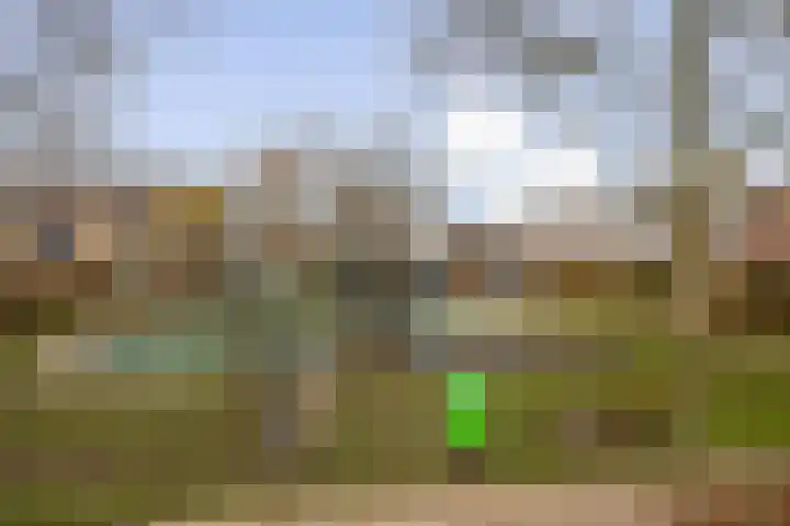 de Blankvoorn 21 Bergschenhoek thumbnail 26