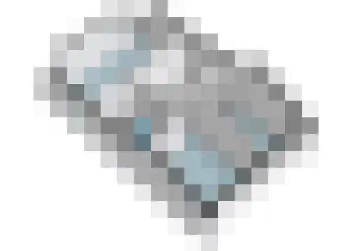 de Blankvoorn 21 Bergschenhoek thumbnail 31