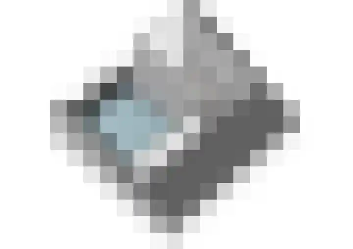 de Blankvoorn 21 Bergschenhoek thumbnail 33