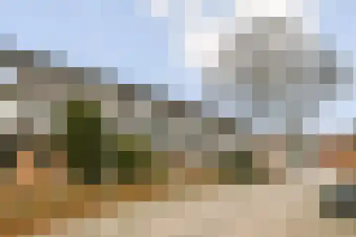 de Blankvoorn 21 Bergschenhoek thumbnail 4