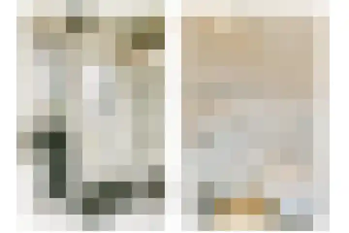 de Blankvoorn 21 Bergschenhoek thumbnail 5