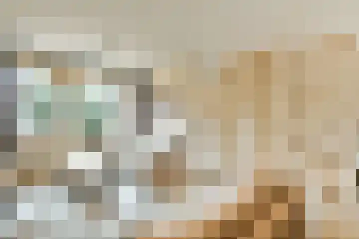 de Blankvoorn 21 Bergschenhoek thumbnail 6