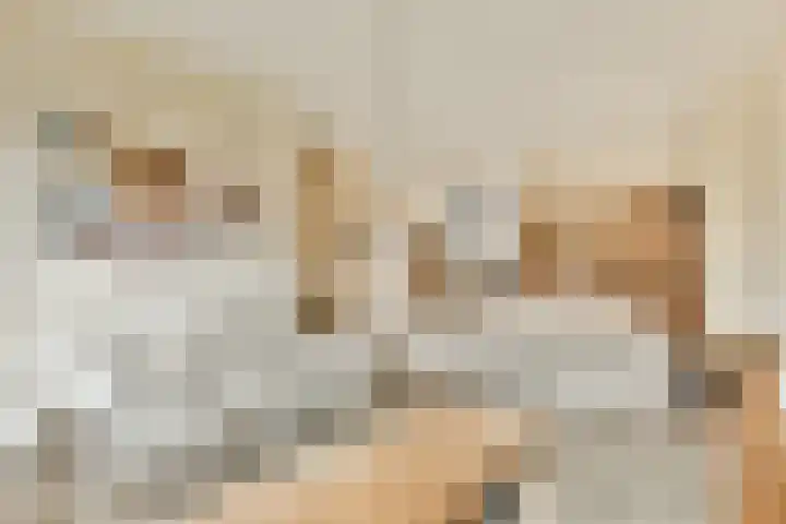 de Blankvoorn 21 Bergschenhoek thumbnail 7