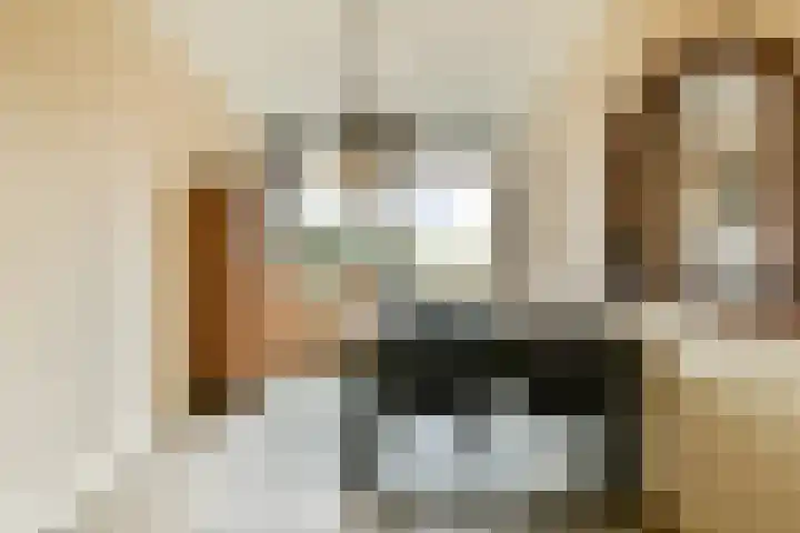 de Blankvoorn 21 Bergschenhoek thumbnail 8