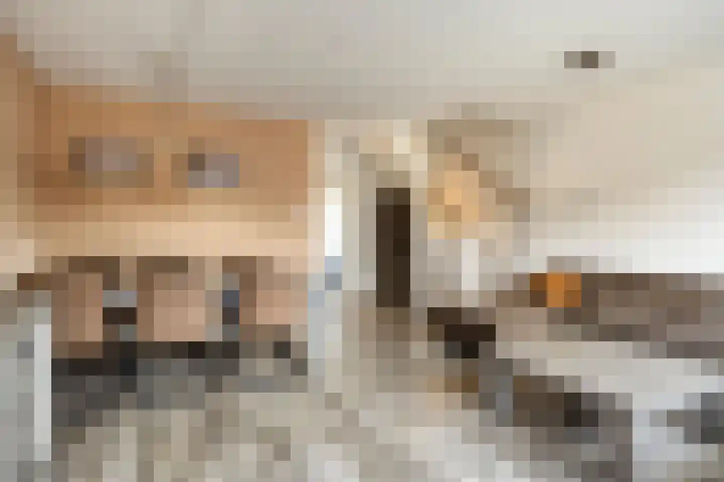 de Blankvoorn 5 Bergschenhoek thumbnail 10