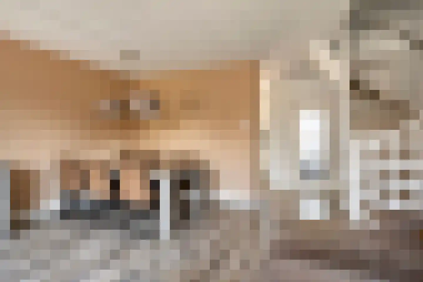 de Blankvoorn 5 Bergschenhoek thumbnail 12