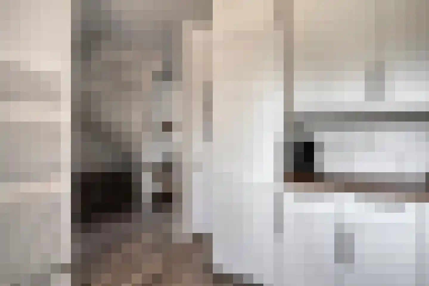 de Blankvoorn 5 Bergschenhoek thumbnail 15