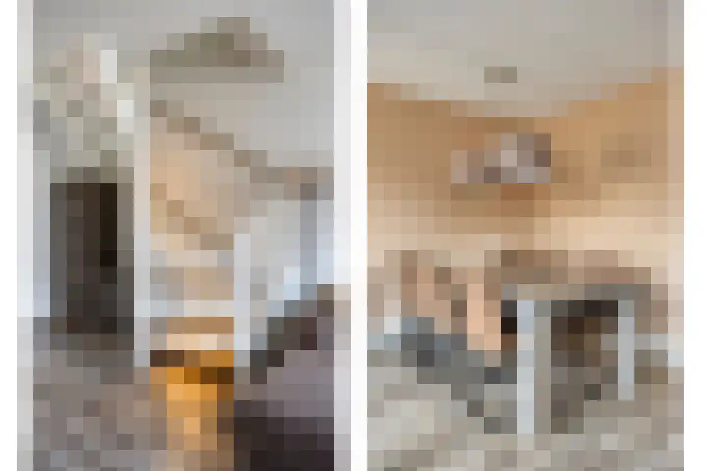 de Blankvoorn 5 Bergschenhoek thumbnail 16