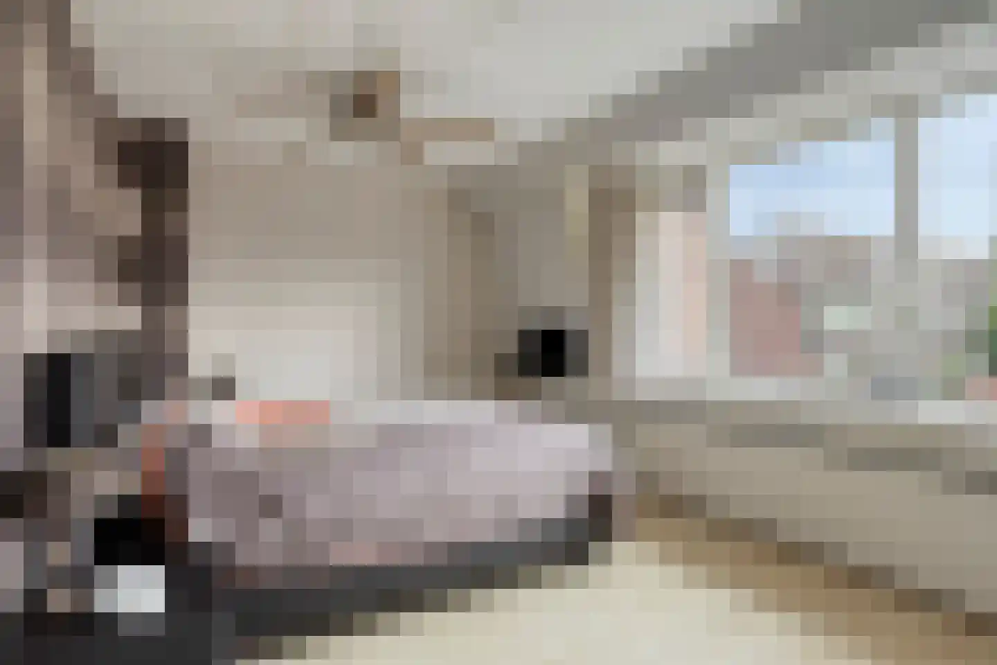 de Blankvoorn 5 Bergschenhoek thumbnail 18