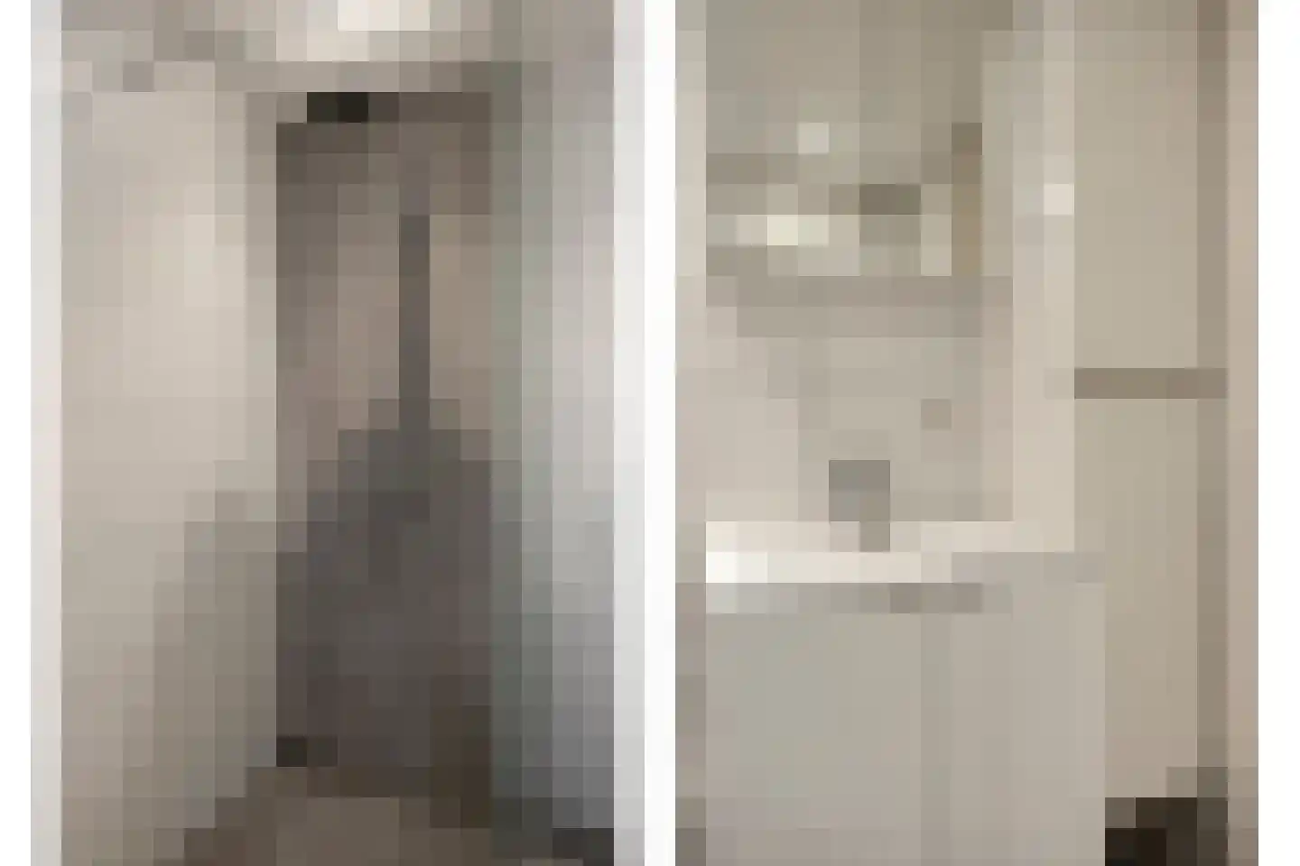de Blankvoorn 5 Bergschenhoek thumbnail 21
