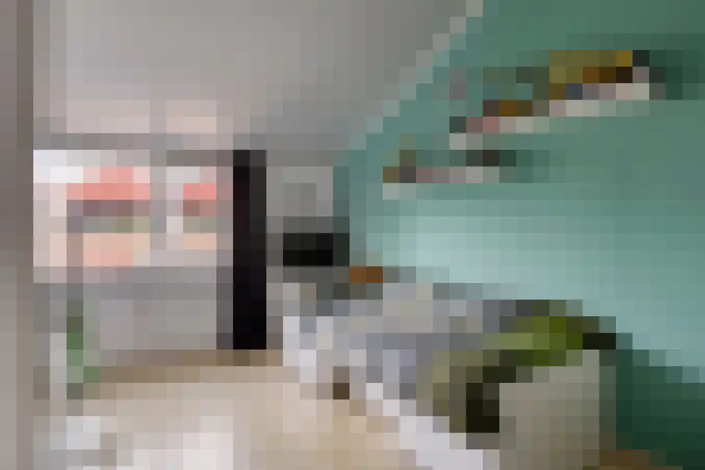 de Blankvoorn 5 Bergschenhoek thumbnail 22